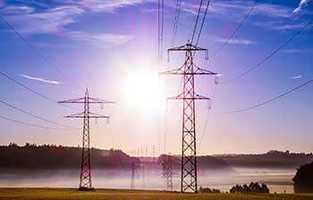 Personal Care & Consumer Goods